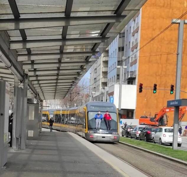 Daily Picdump Daily Picdump