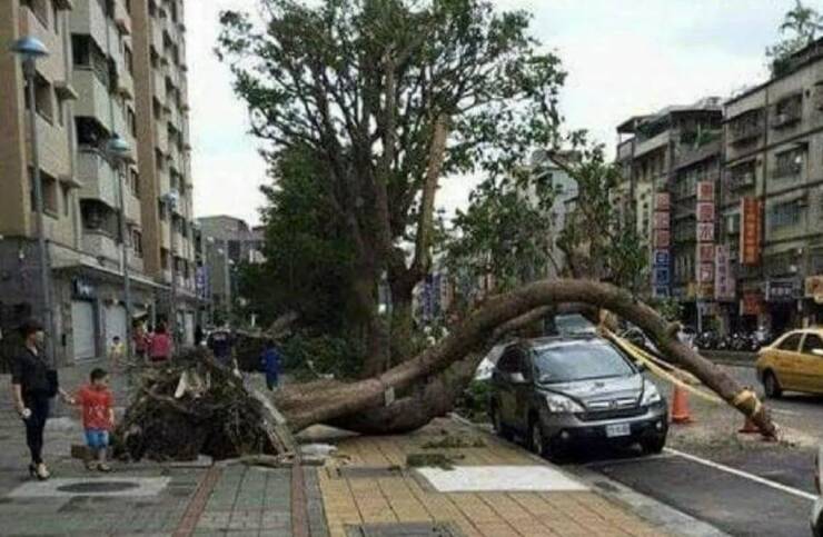 Daily Picdump Daily Picdump