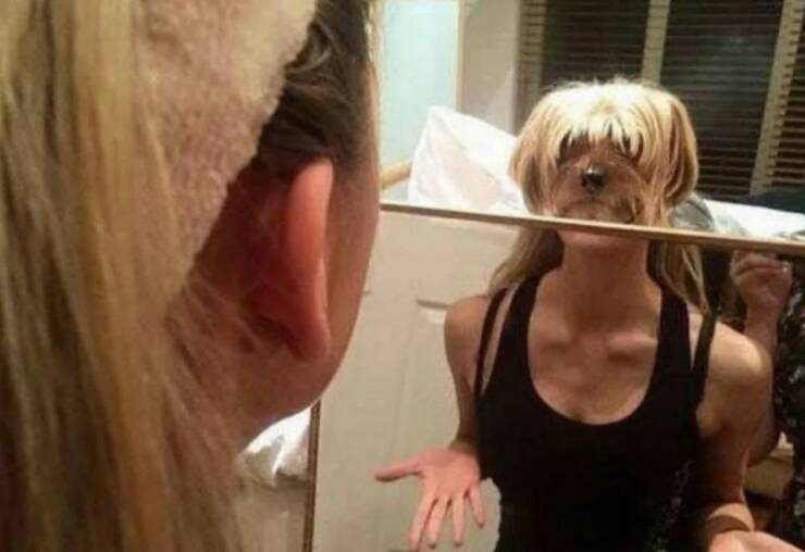 Daily Picdump Daily Picdump