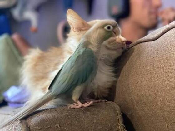 Daily Picdump Daily Picdump