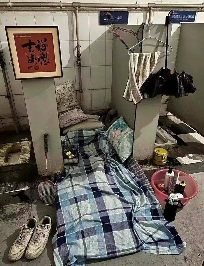 Daily Picdump Daily Picdump