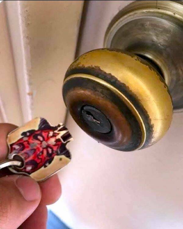 Daily Picdump Daily Picdump