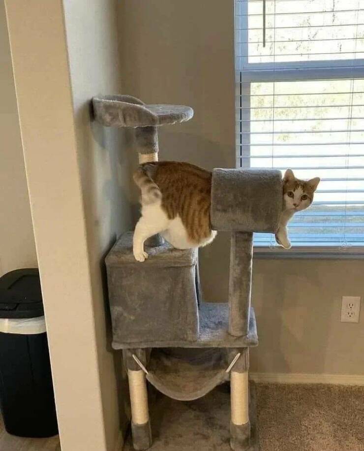 Daily Picdump Daily Picdump