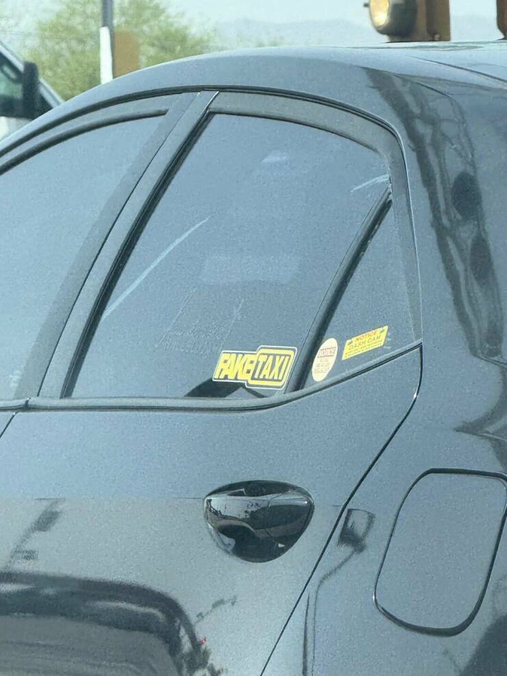 Daily Picdump Daily Picdump