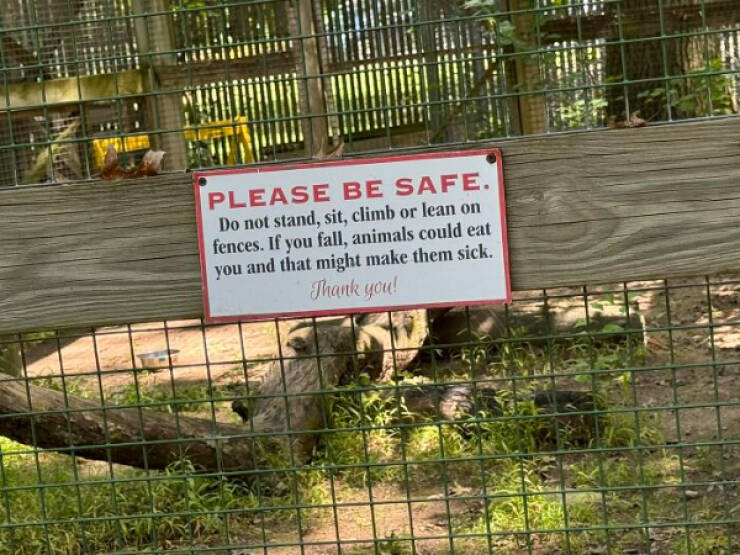 Hilarious Signs That Deserve A Standing Ovation