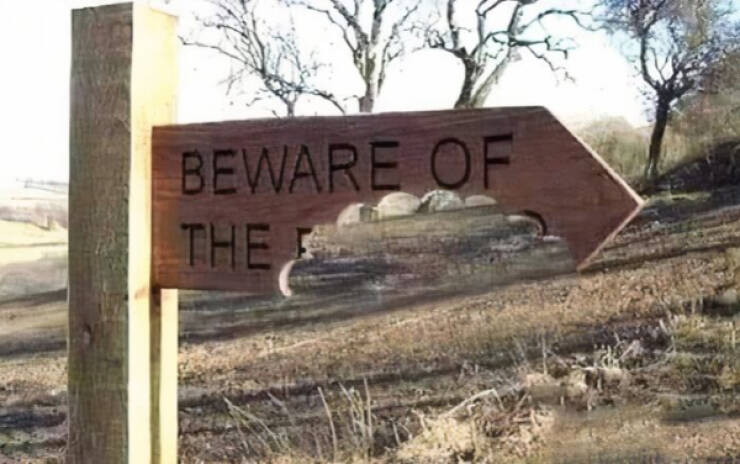 Hilarious Signs That Deserve A Standing Ovation