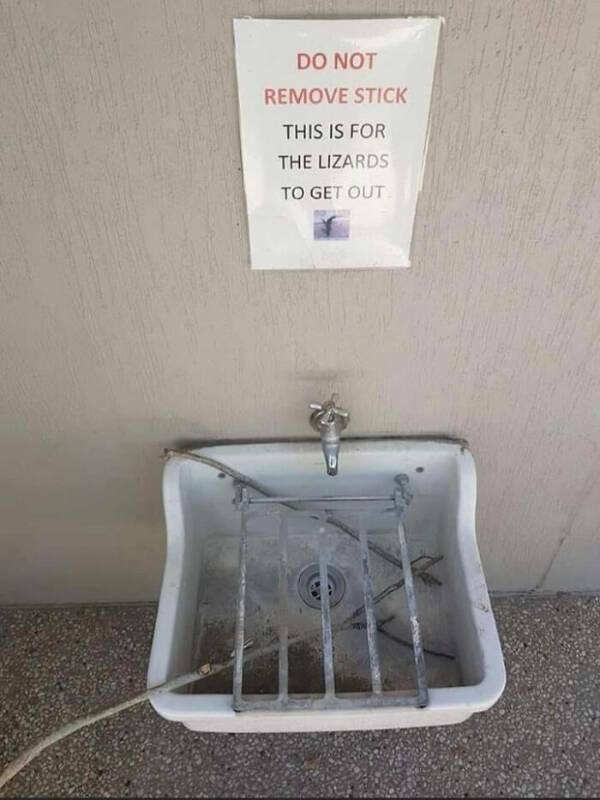 Hilarious Signs That Deserve A Standing Ovation