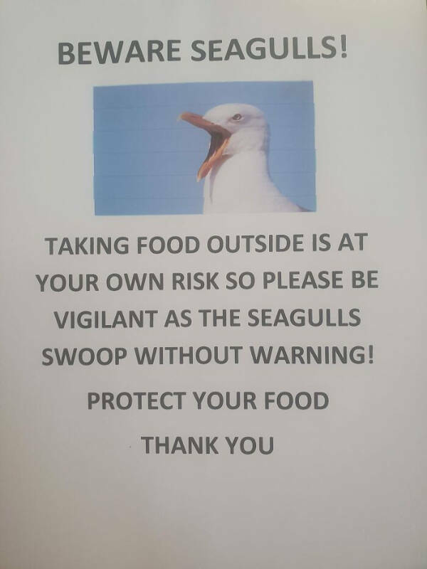 Hilarious Signs That Deserve A Standing Ovation