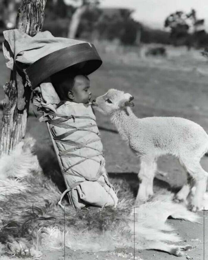 Photographs That Froze History In A Single Moment