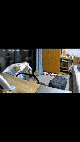 Daily Gifdump Daily Gifdump