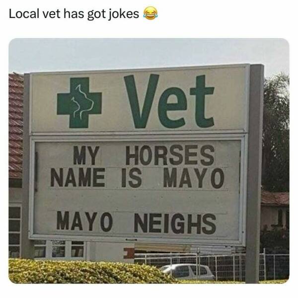 Dad Joke Hall Of Fame