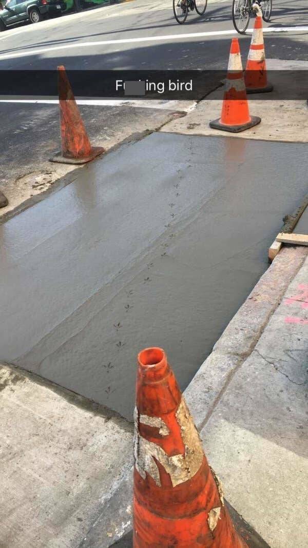 Expensive Mistakes That’ll Haunt The Wallet Forever