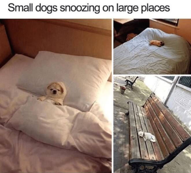 Funny Picdump