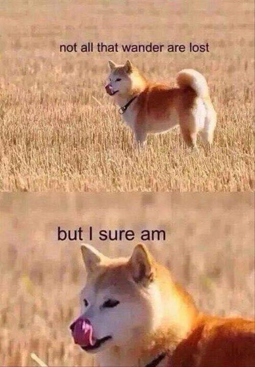 Funny Picdump