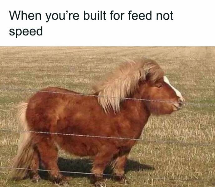 Glam, Love, And A Little Bit Of Chaos