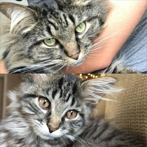 Not Life-Changing, But Definitely Worth A Glance