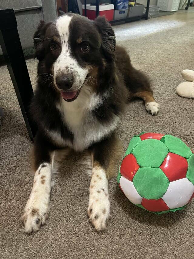 Not Life-Changing, But Definitely Worth A Glance