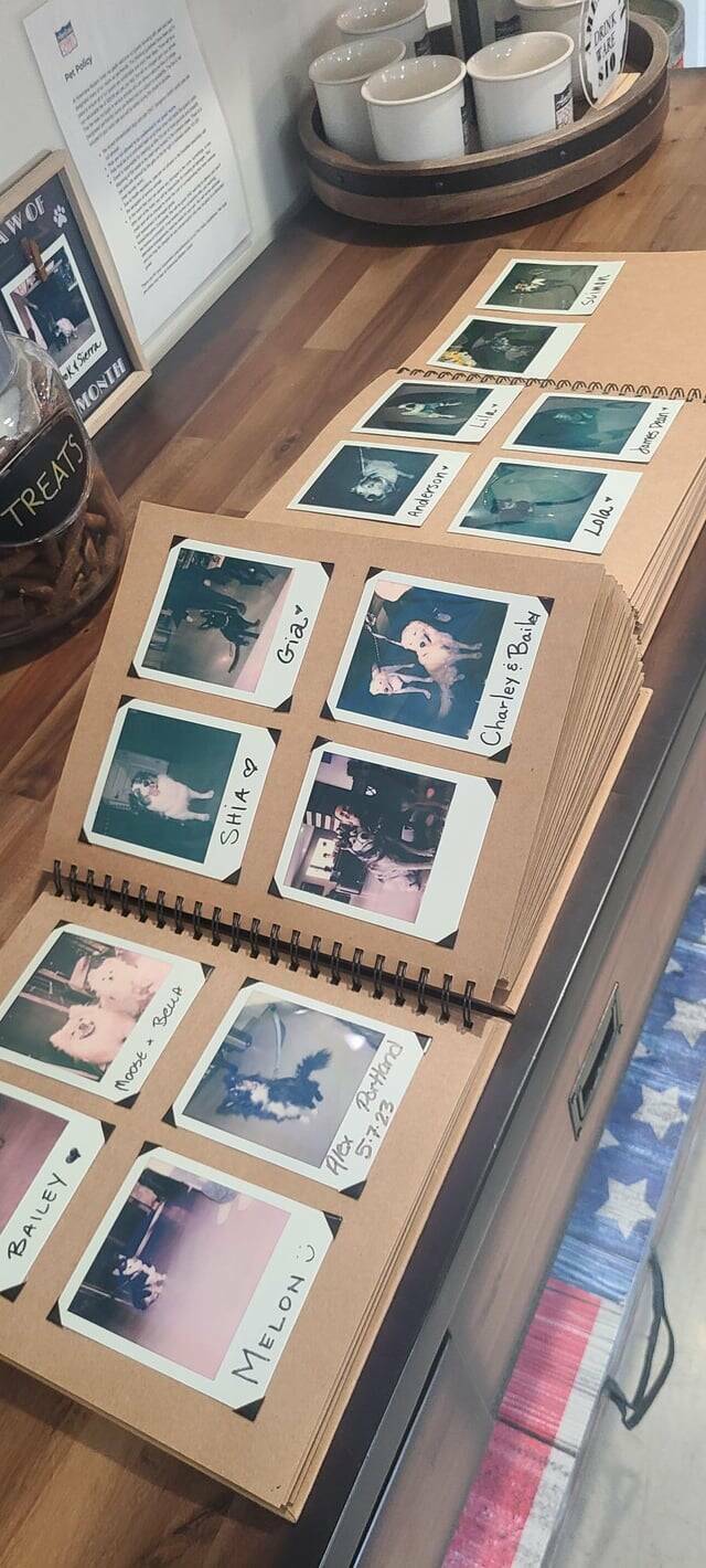 Not Life-Changing, But Definitely Worth A Glance