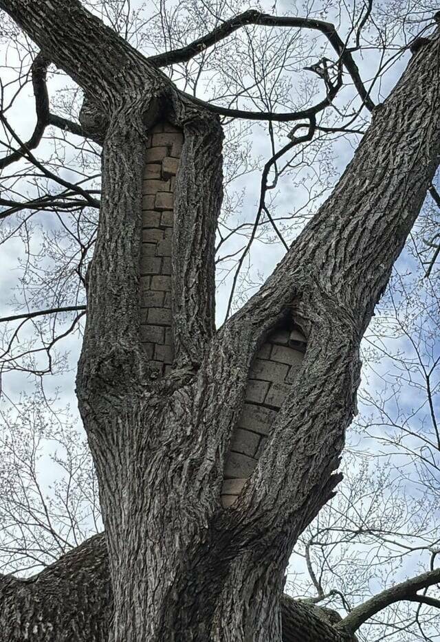 Not Life-Changing, But Definitely Worth A Glance