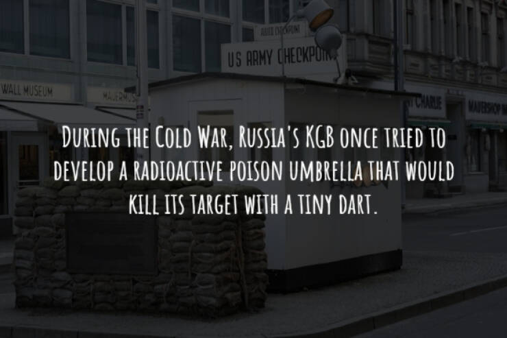 Unusual And Intriguing Historical Facts