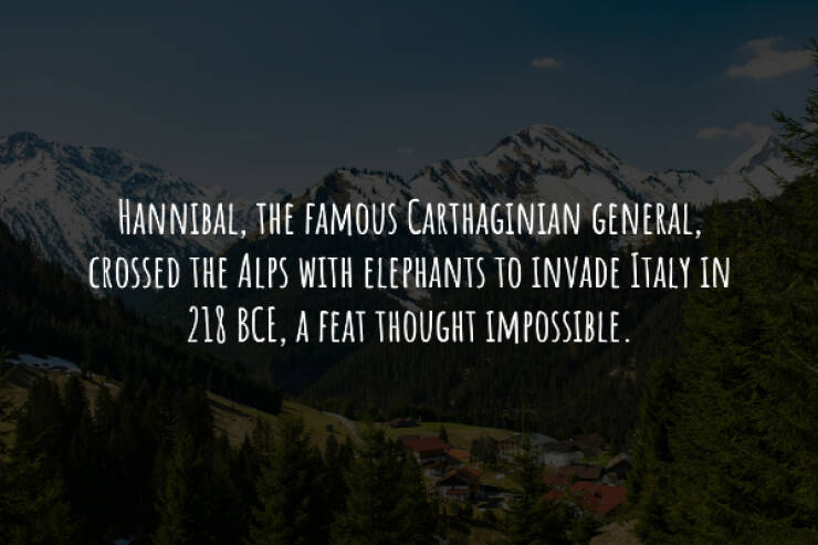 Unusual And Intriguing Historical Facts