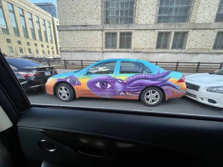 Wild Rides You Have To See To Believe