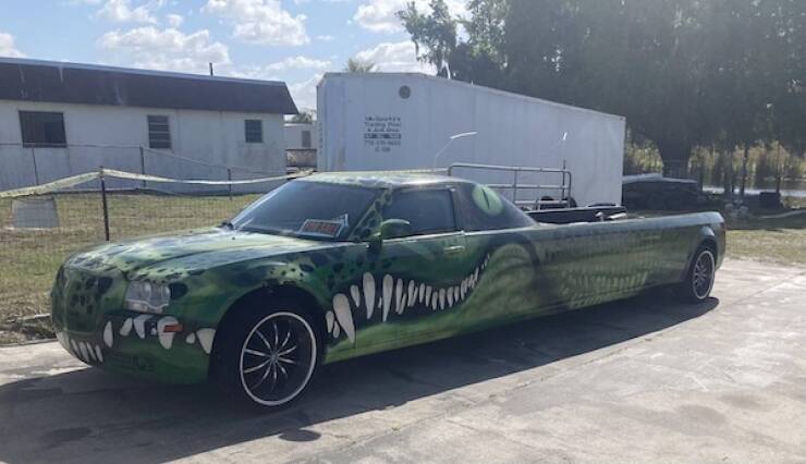 Wild Rides You Have To See To Believe