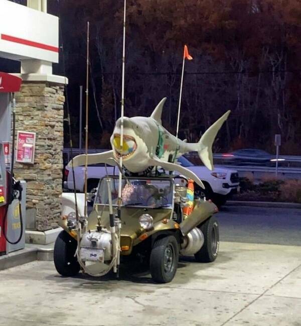 Wild Rides You Have To See To Believe