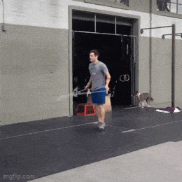 Daily Gifdump