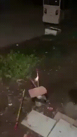 Daily Gifdump