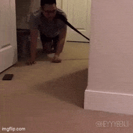 Daily Gifdump