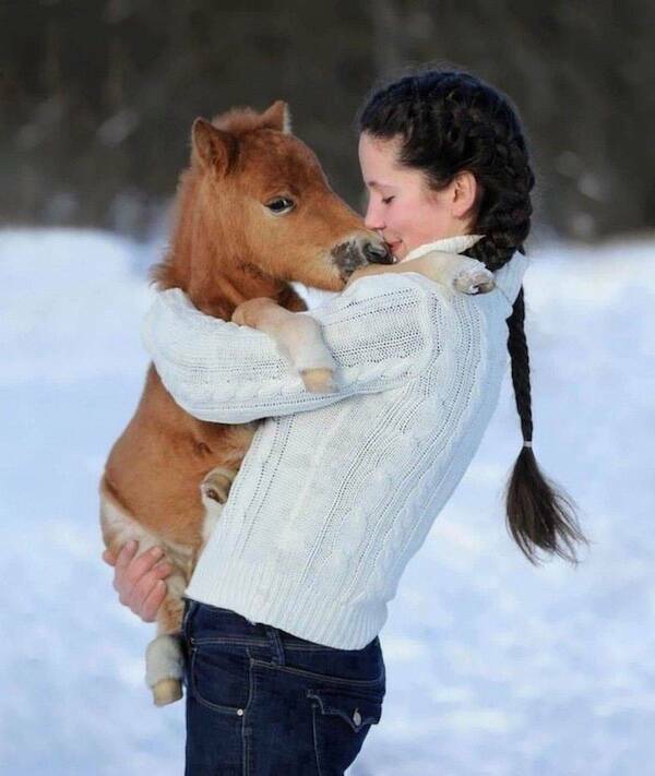 Animals Just Out Here Being Ridiculously Hilarious