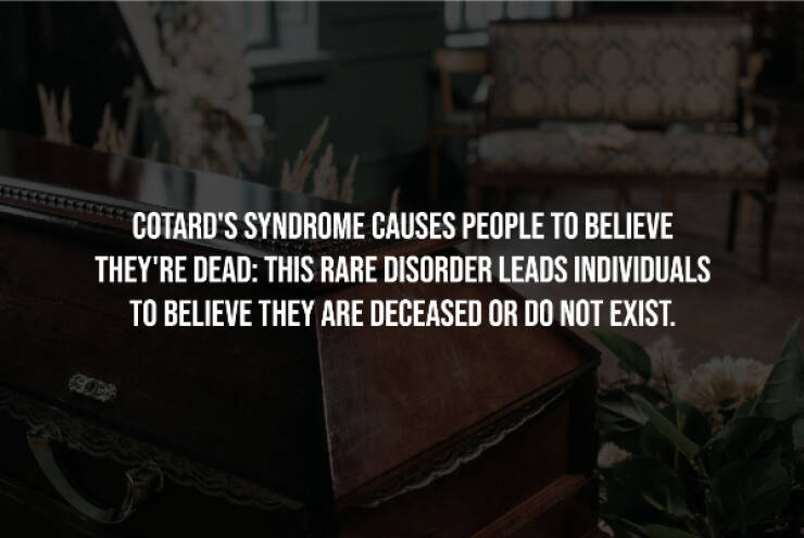 Creepy Facts You Can’t Unknow