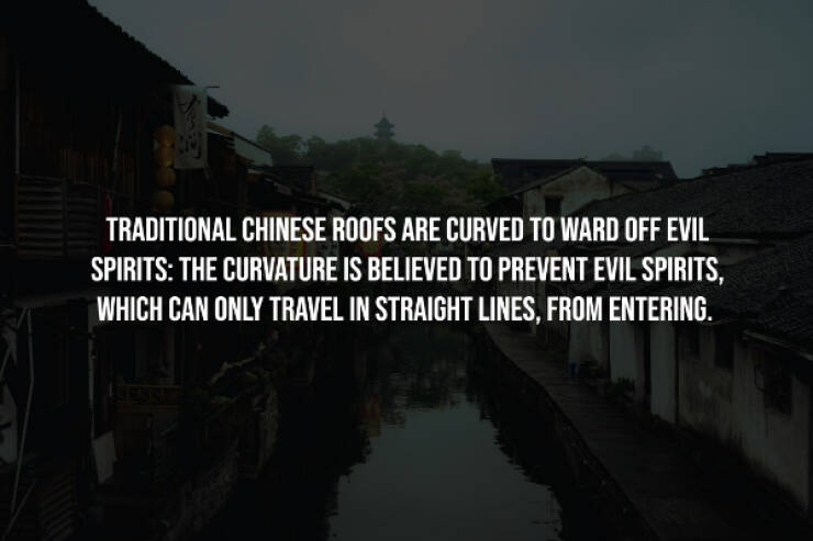 Creepy Facts You Can’t Unknow