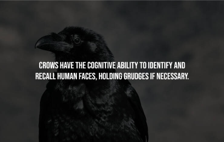 Creepy Facts You Can’t Unknow