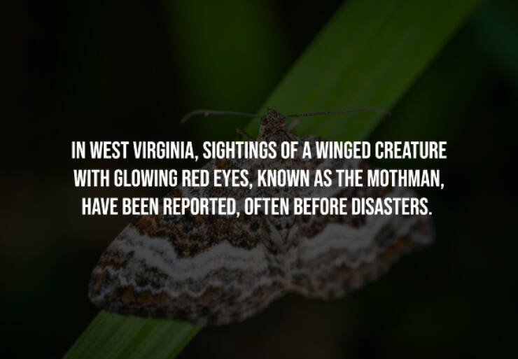 Creepy Facts You Can’t Unknow