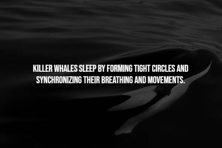 Creepy Facts You Can’t Unknow