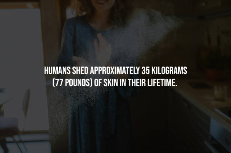 Creepy Facts You Can’t Unknow