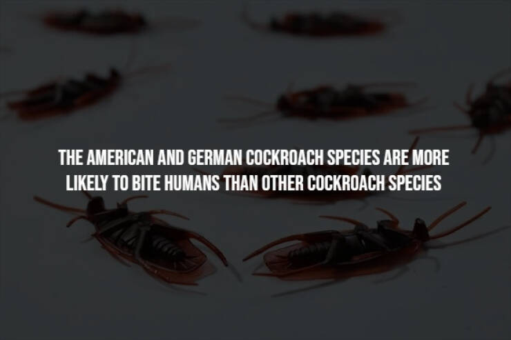 Creepy Facts You Can’t Unknow