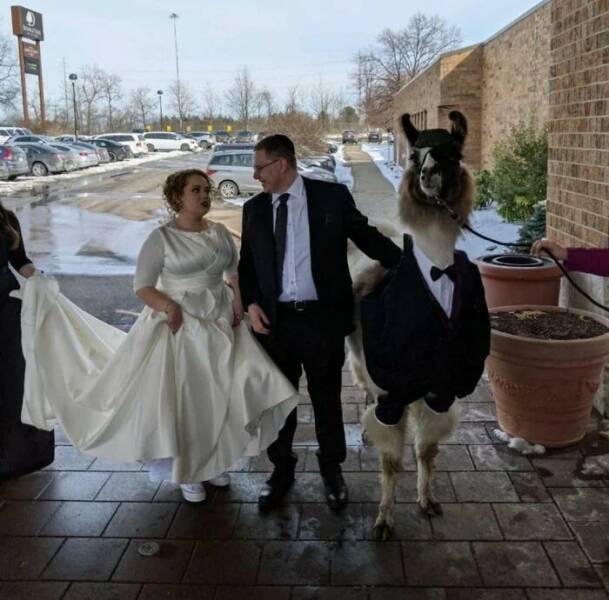 Daily Picdump Daily Picdump
