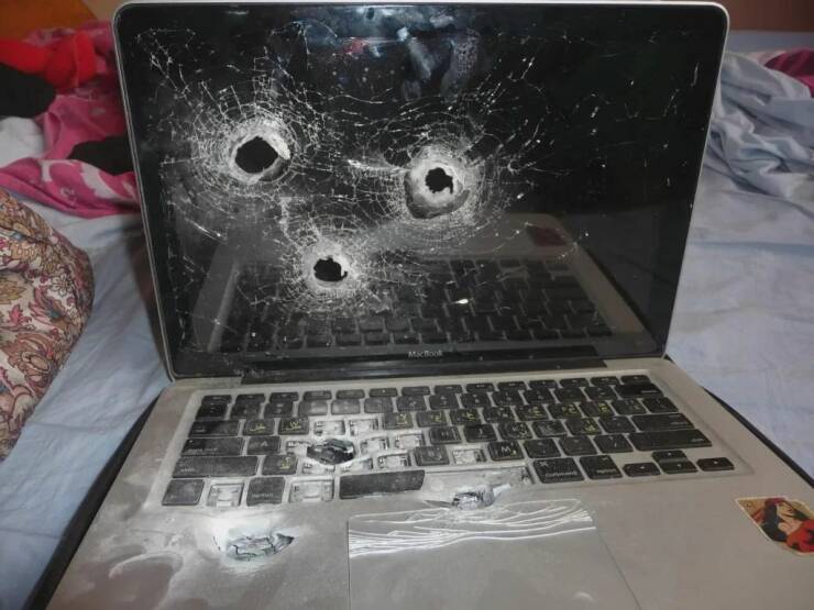 Daily Picdump Daily Picdump