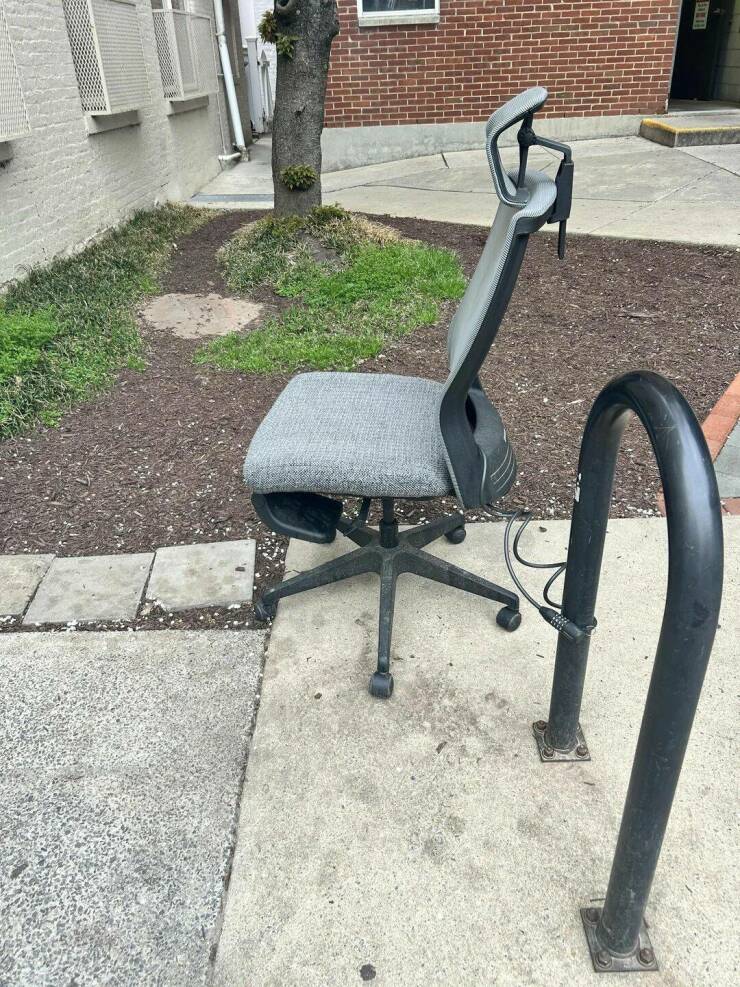 Daily Picdump Daily Picdump