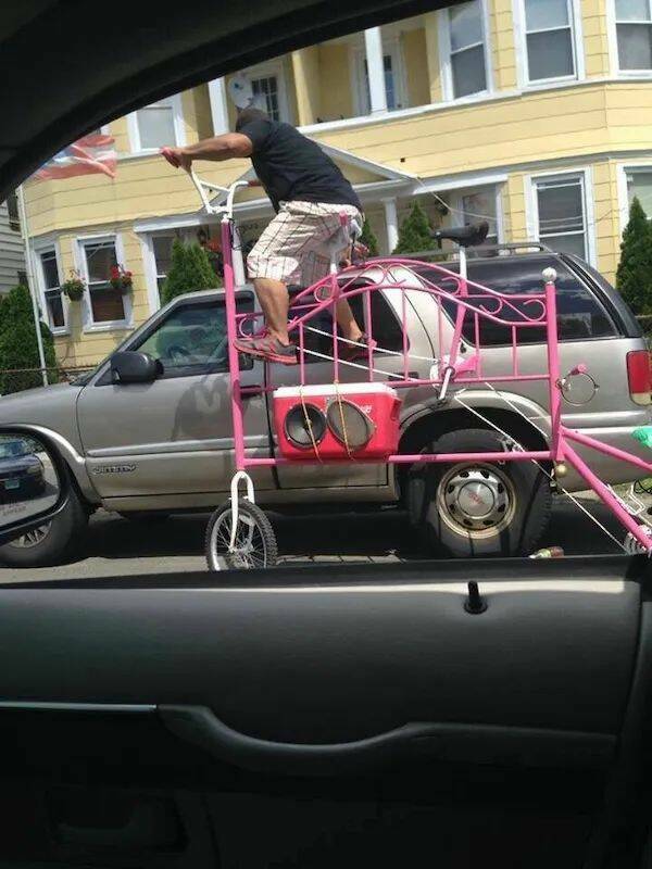 Daily Picdump Daily Picdump