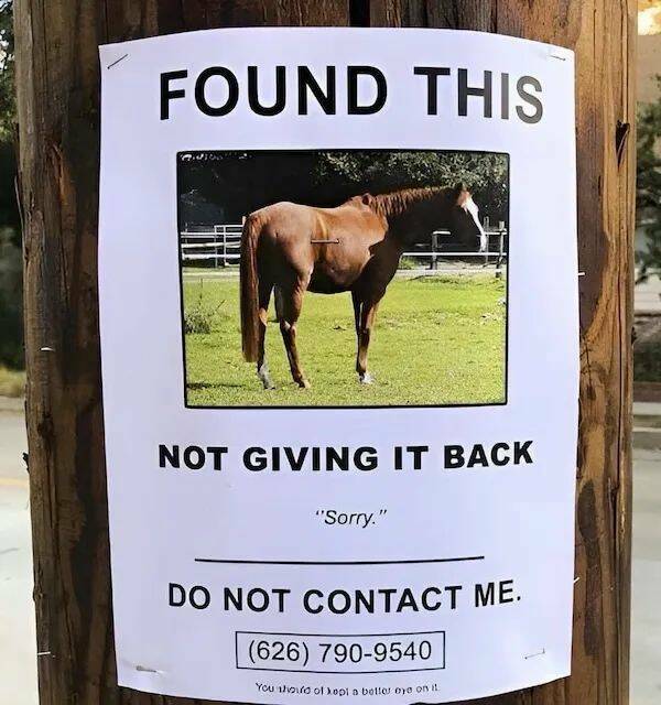 Daily Picdump Daily Picdump