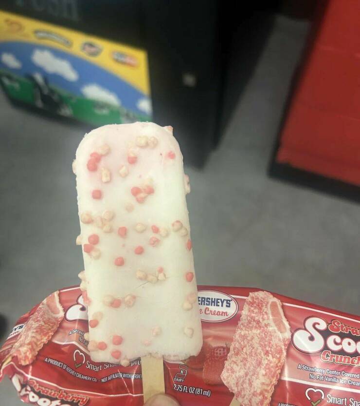 Daily Picdump Daily Picdump