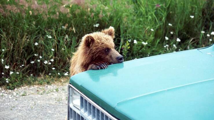 Daily Picdump [WEEKEND EDITION]