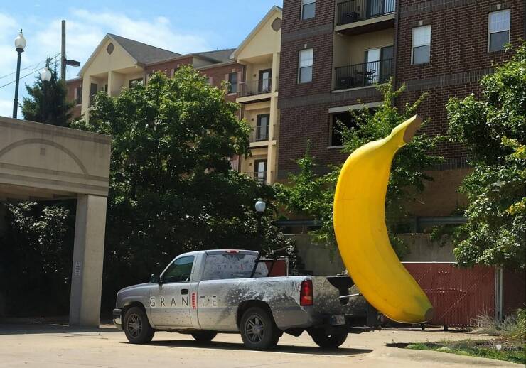 Daily Picdump [WEEKEND EDITION]