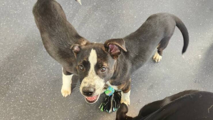 Daily Picdump [WEEKEND EDITION]