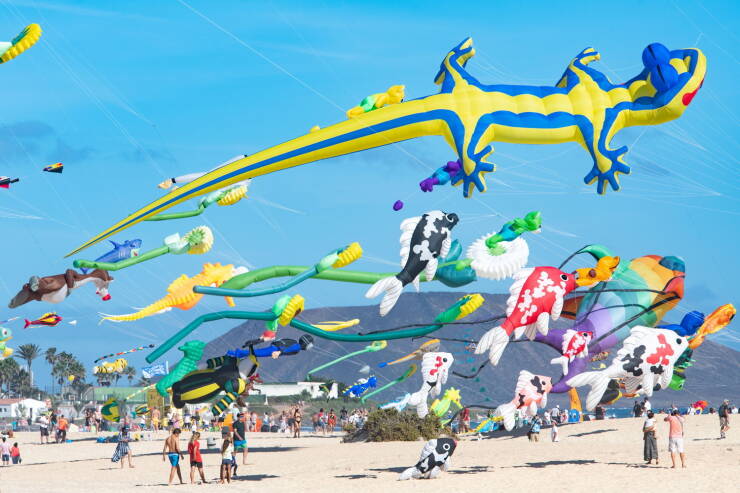 Daily Picdump [WEEKEND EDITION]