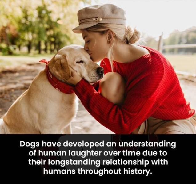 Daily Picdump [WEEKEND EDITION]